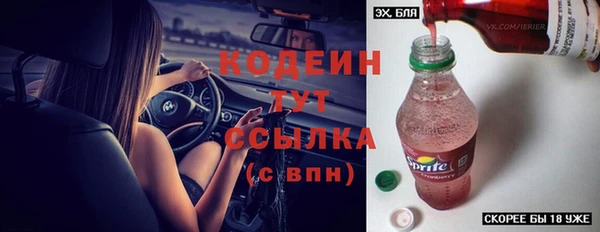 меф Вяземский