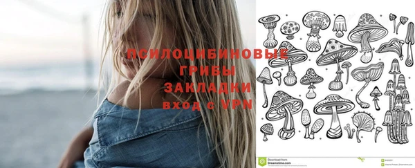 Альфа ПВП Вязники