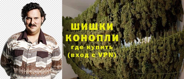 меф Вяземский
