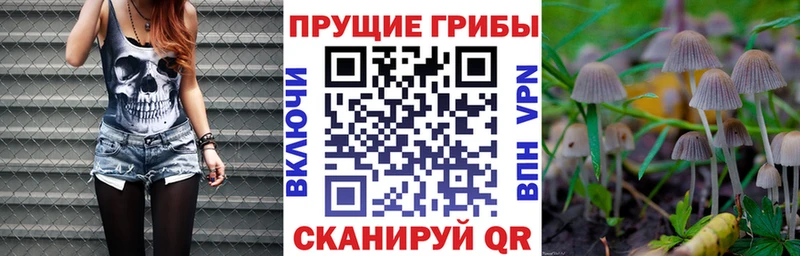 Галлюциногенные грибы Cubensis  Белгород 